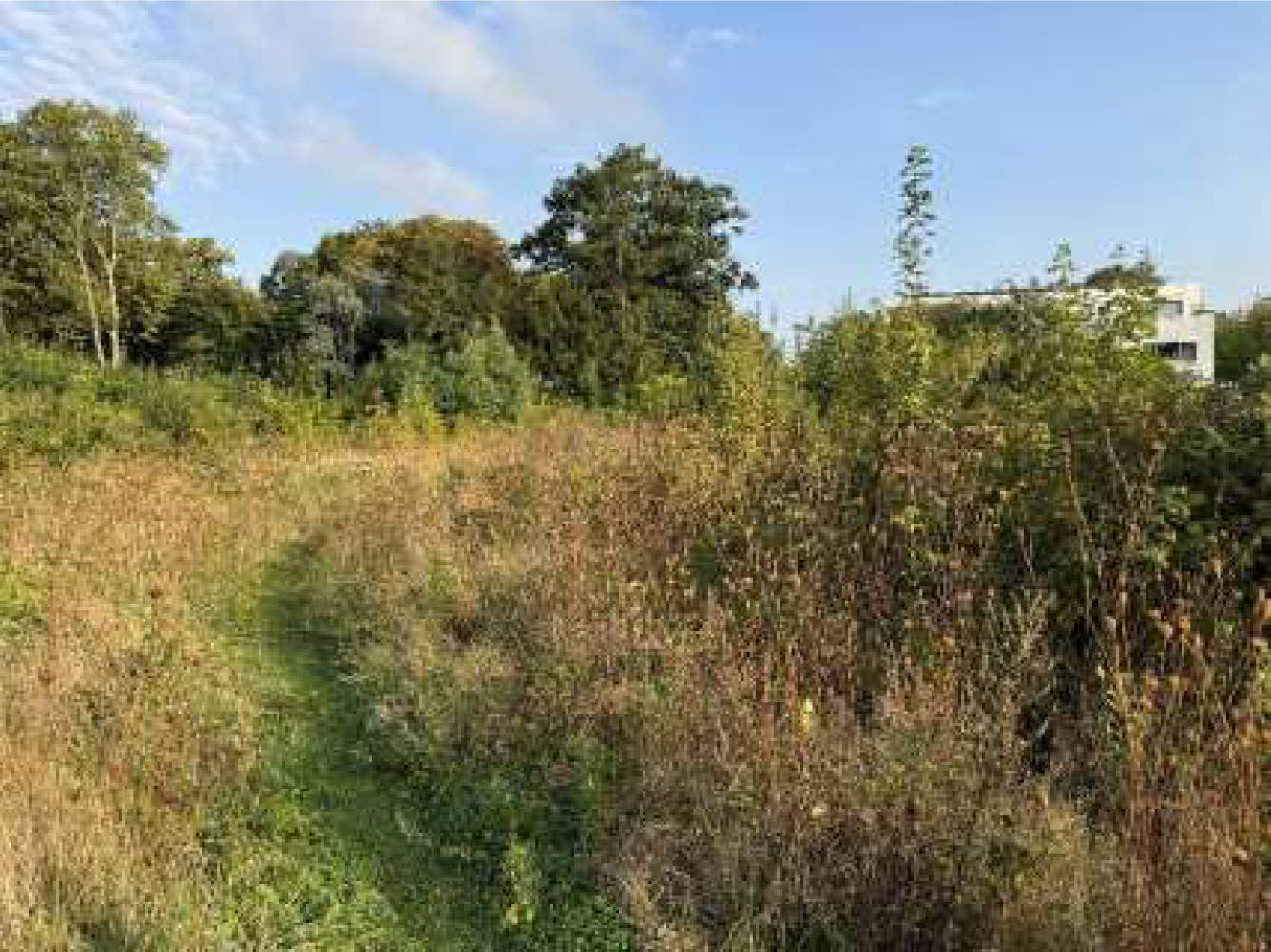 nordrheinwestpfalen 0653K0047-2024 Welkerstraße 11, 17; Ecke Düsseldorfer Straße, 47053 Duisburg, Dellviertel