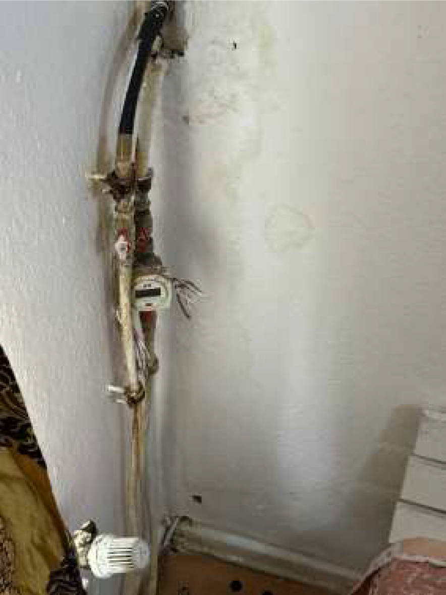 nordrheinwestpfalen 0654 K 0028/2024 Haxtergrund 18, 20, 22, 47137 Duisburg, Untermeiderich 21