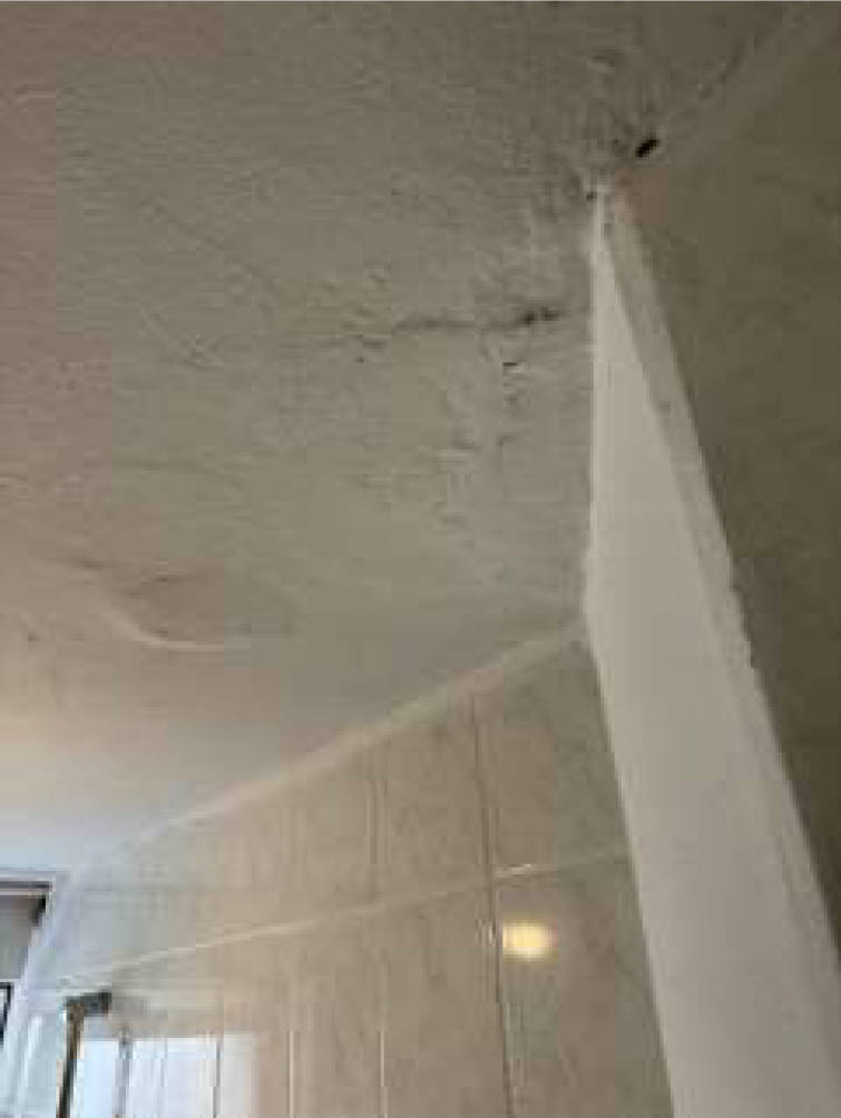 nordrheinwestpfalen 0654 K 0028/2024 Haxtergrund 18, 20, 22, 47137 Duisburg, Untermeiderich 20