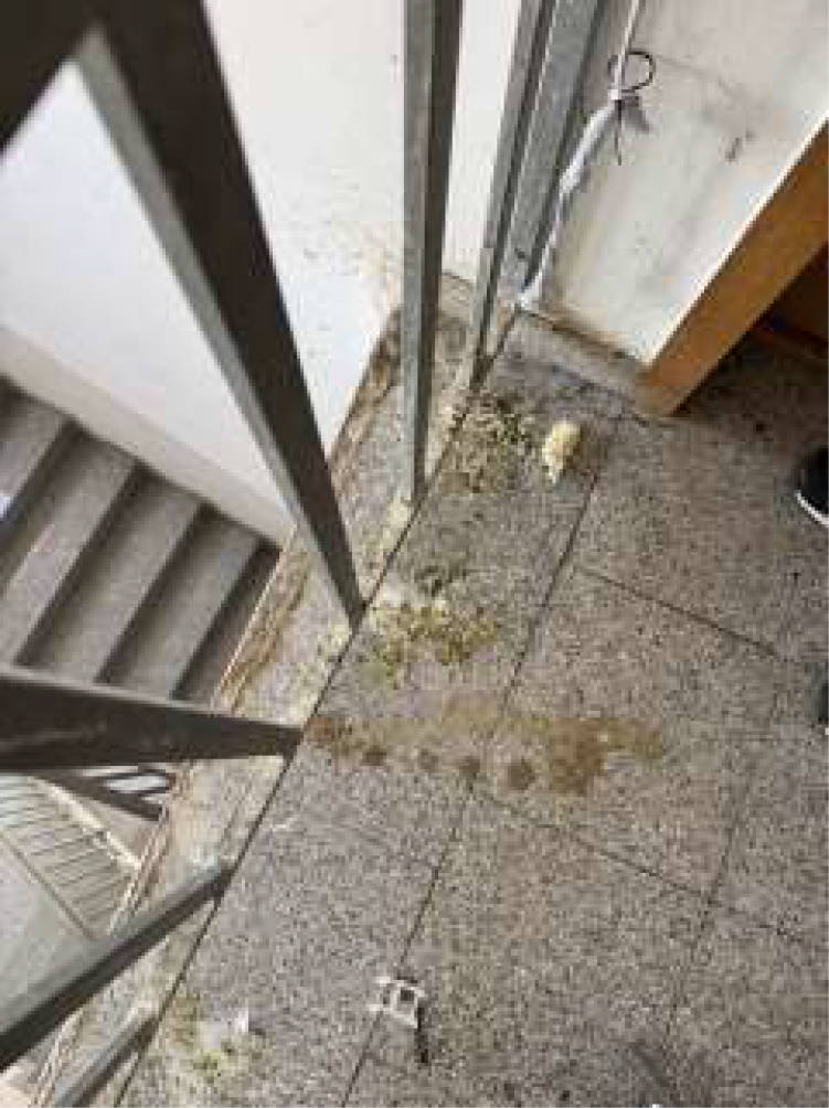 nordrheinwestpfalen 0654K0061/2024 Weseler Straße 6, 6 A, 8, Dahlmannstraße 1, 47169 Duisburg, Marxloh 19