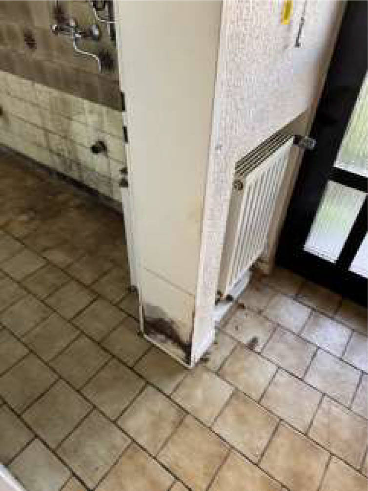 nordrheinwestpfalen 0654 K 0067/2024 Walter-Schönheit-Straße 13,15, 47269 Duisburg, Rahm 26