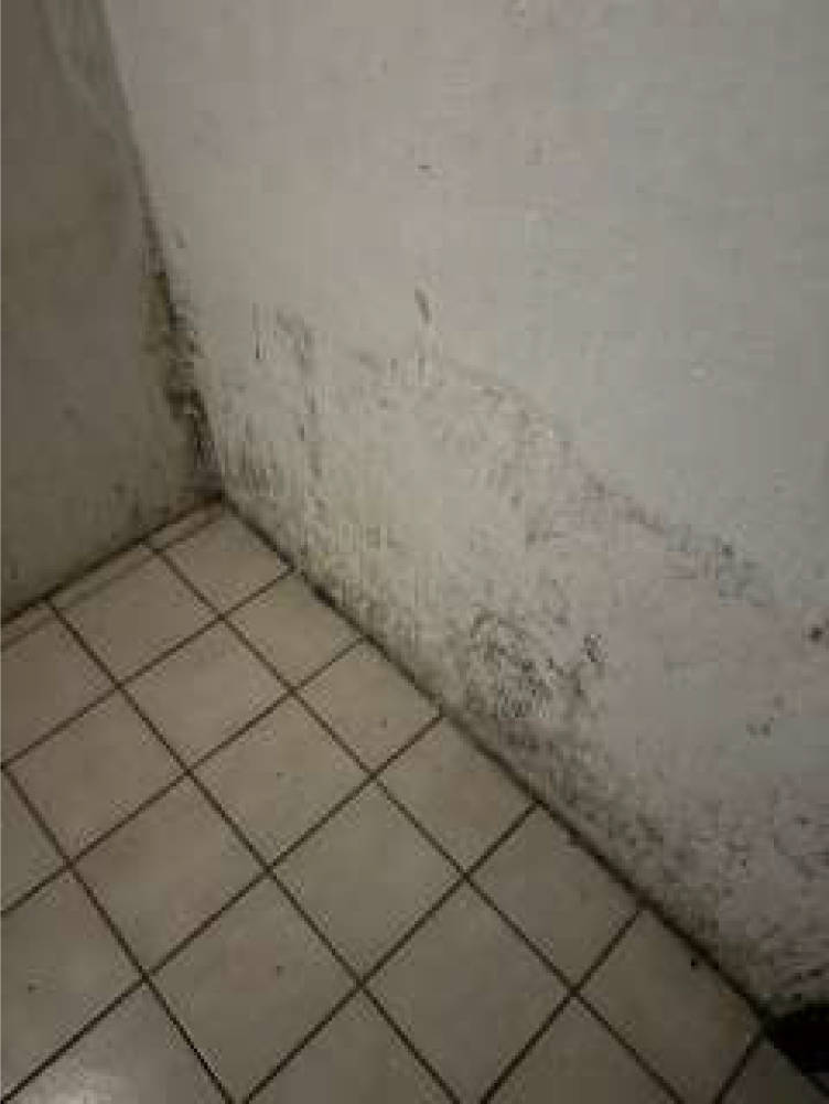 nordrheinwestpfalen 0654 K 0076/2025 Am Knappert 15 C, 47269 Duisburg, Rahm 13