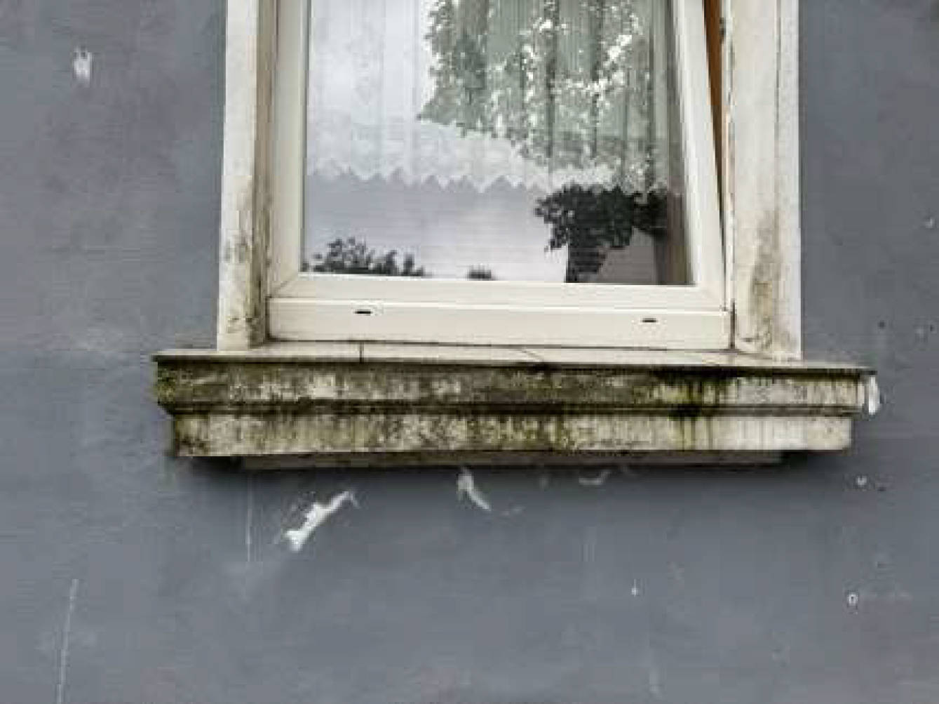 nordrheinwestpfalen 0654 K 0091/2025 Seydlitzstr. 54, 47169 Duisburg, Fahrn 14