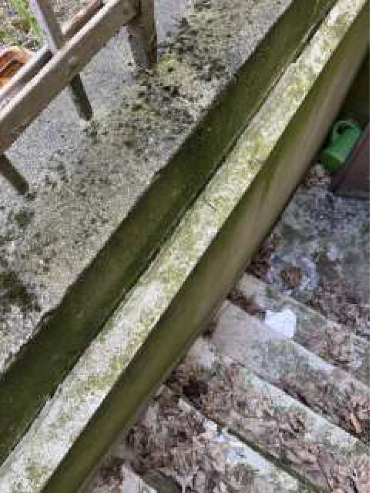 nordrheinwestpfalen 0654 K 0105/2024 Heiligenbaumstraße 3, 47249 Duisburg, Wanheim-Angerhausen 21