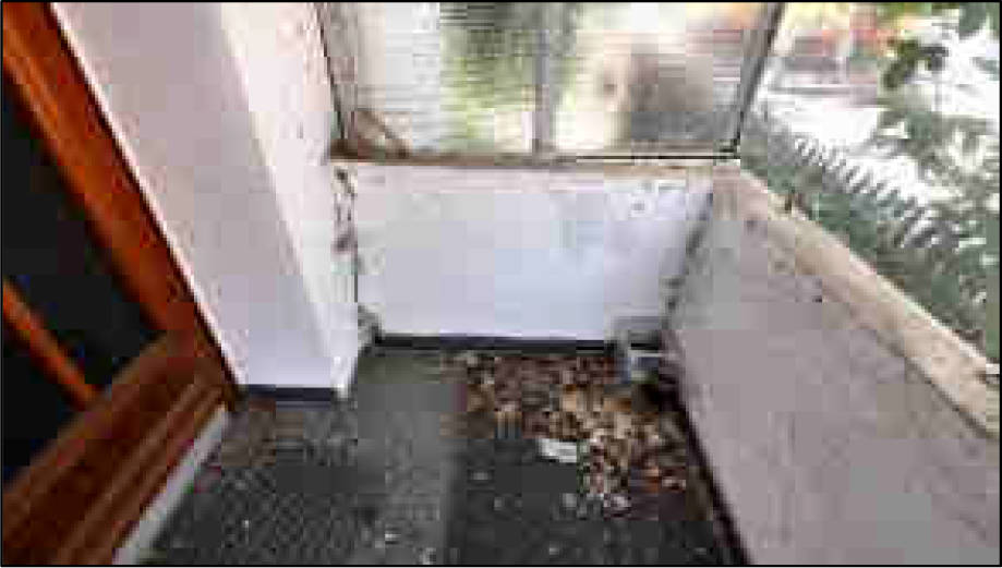 nordrheinwestpfalen 0900 K 0005/2024 Frankenstraße, 53881 Euskirchen, Kirchheim 22