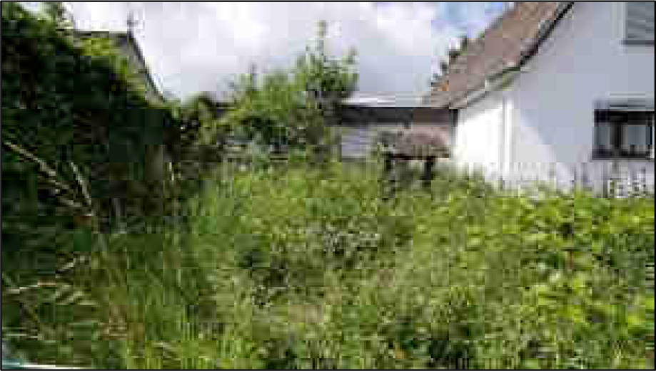 nordrheinwestpfalen 0900 K 0005/2024 Frankenstraße, 53881 Euskirchen, Kirchheim 12