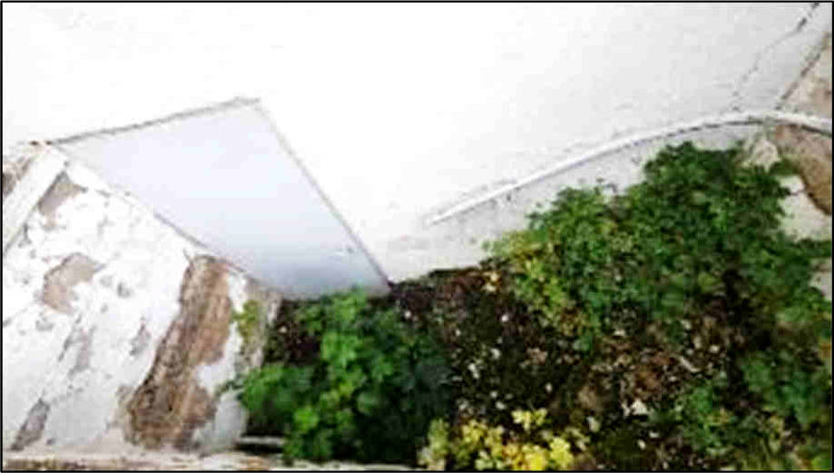 nordrheinwestpfalen 0900 K 0005/2024 Frankenstraße, 53881 Euskirchen, Kirchheim 24