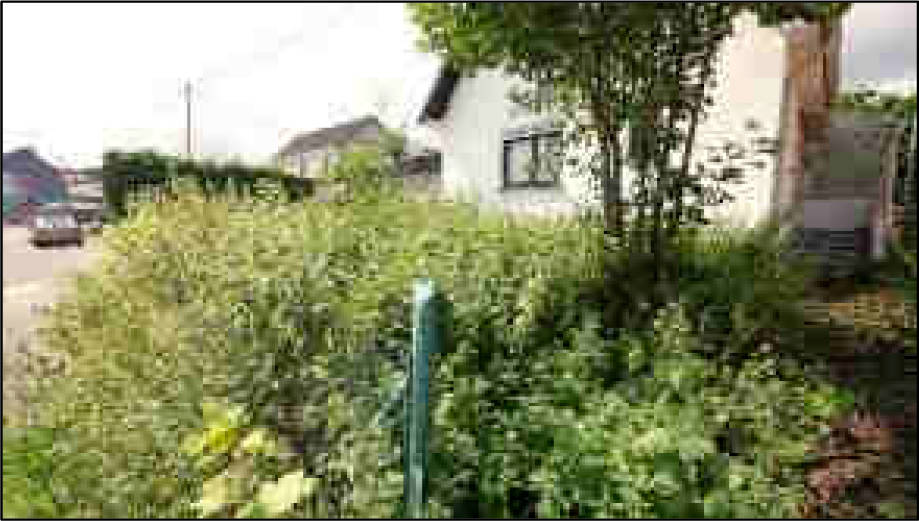 nordrheinwestpfalen 0900 K 0005/2024 Frankenstraße, 53881 Euskirchen, Kirchheim 7