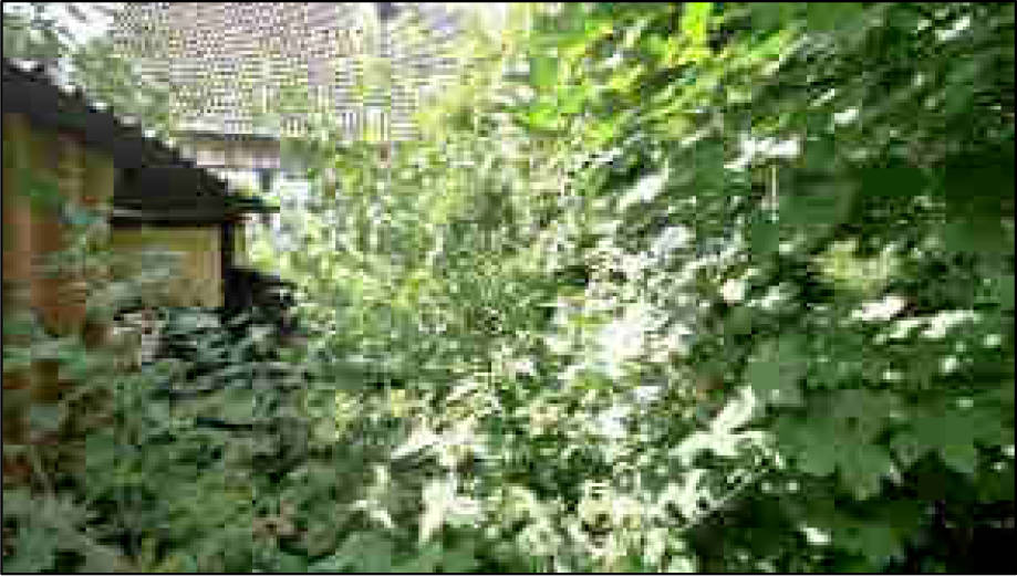 Einfamilienhaus in Frankenstraße, 53881 Euskirchen, Kirchheim - Bild 2