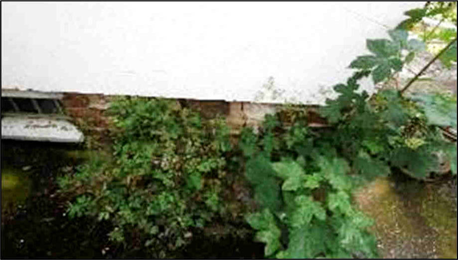 nordrheinwestpfalen 0900 K 0005/2024 Frankenstraße, 53881 Euskirchen, Kirchheim 18