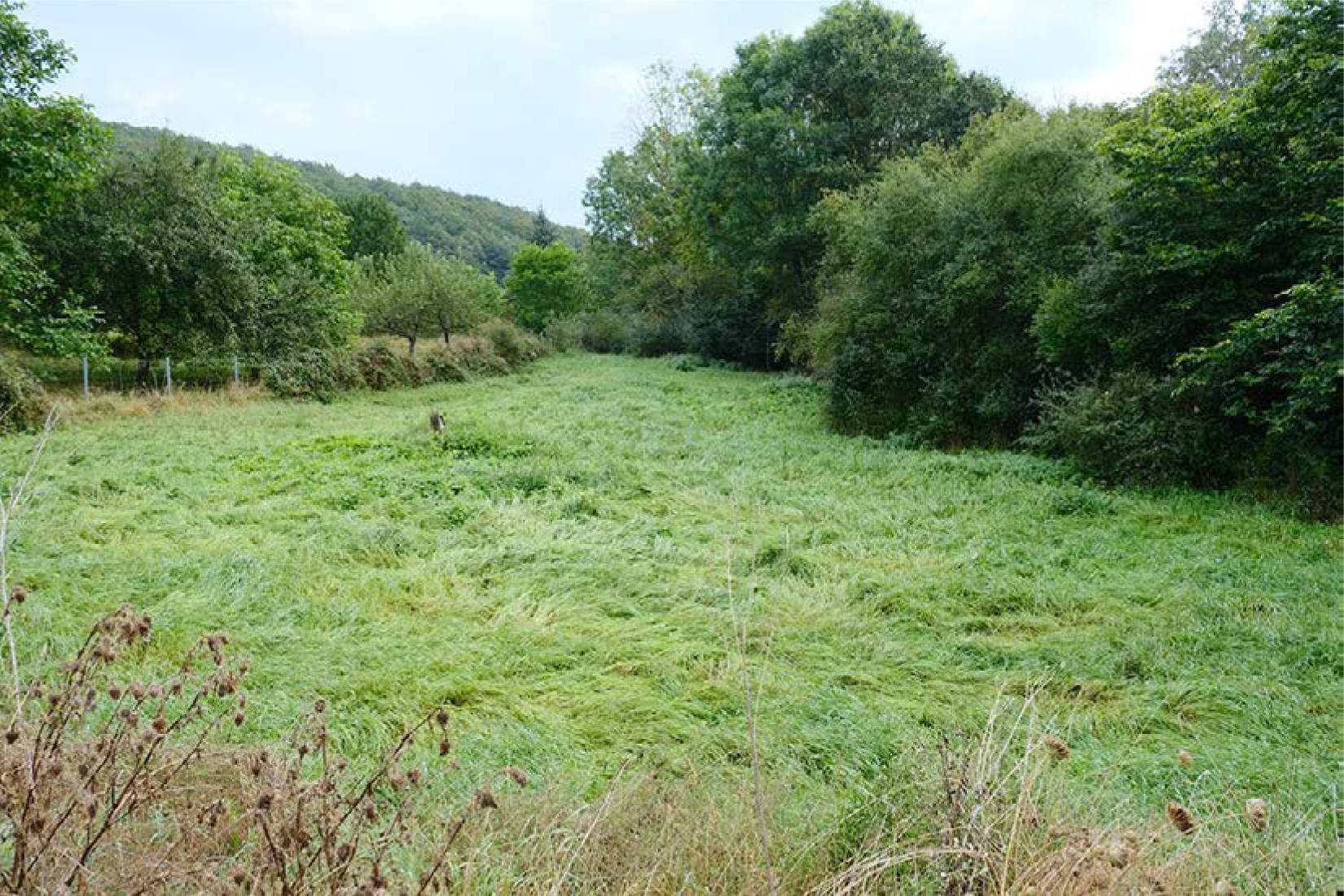 nordrheinwestpfalen 0900K0013-2024 Triftweg, 53902 Bad Münstereifel, Eicherscheid