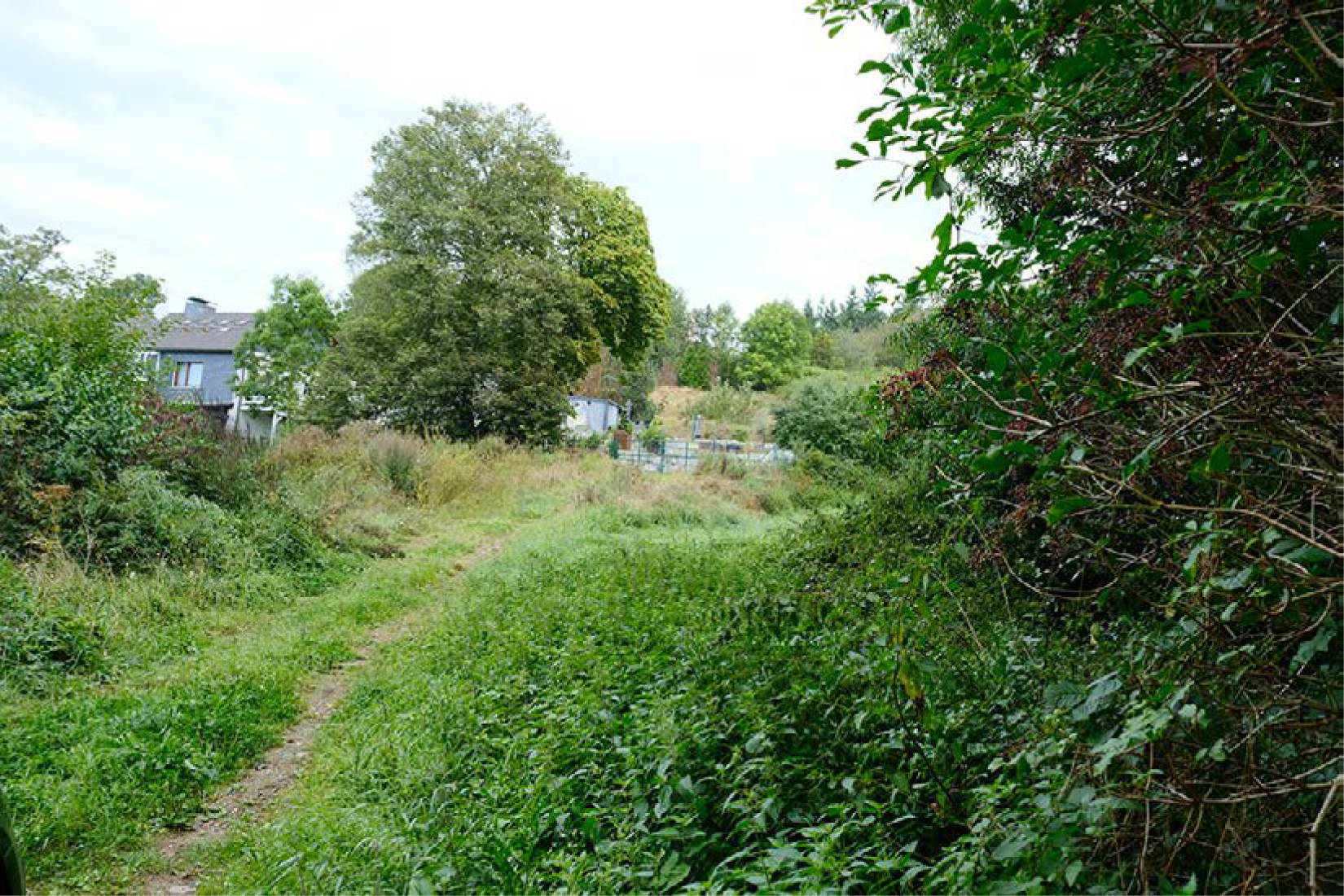 nordrheinwestpfalen 0900K0013-2024 Triftweg, 53902 Bad Münstereifel, Eicherscheid