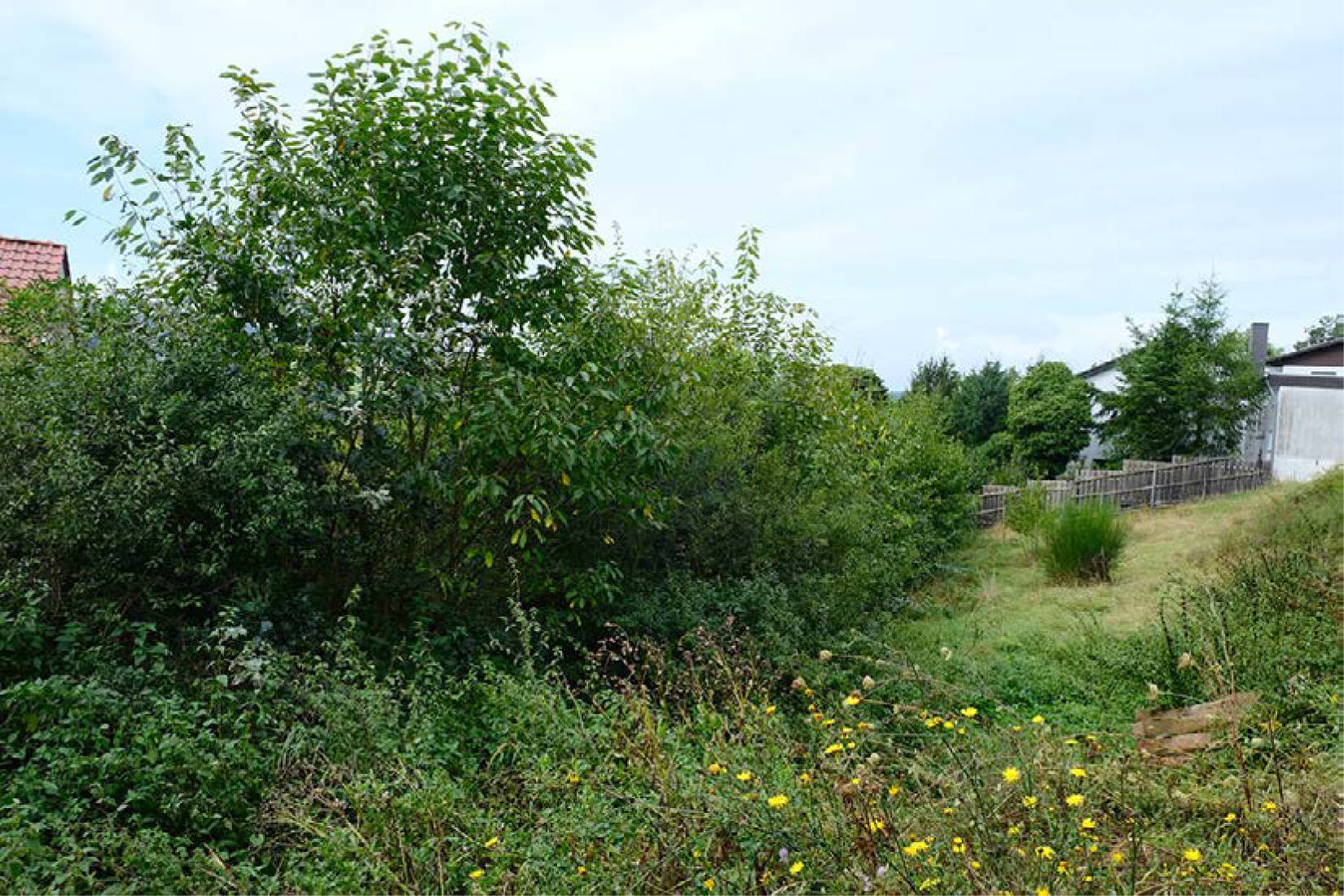 nordrheinwestpfalen 0900K0013-2024 Triftweg, 53902 Bad Münstereifel, Eicherscheid