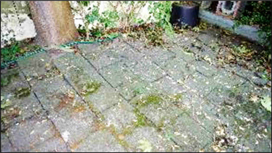 nordrheinwestpfalen 0900K0020/2024 Münsterstraße 3, 53909 Zülpich 12