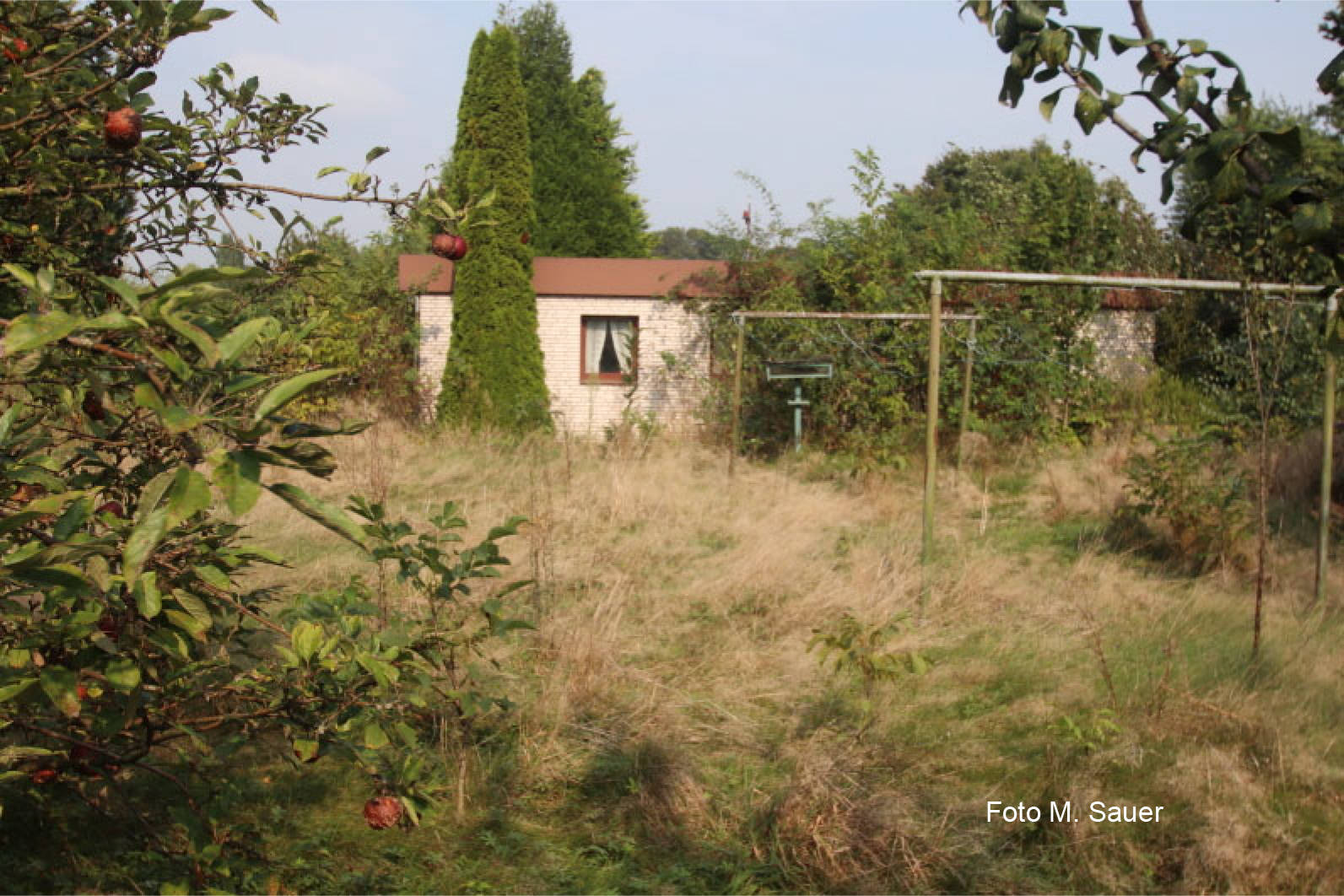 Wohn-/Geschäftshaus in Reyerstraße  85, 41065 Mönchengladbach - Bild 3