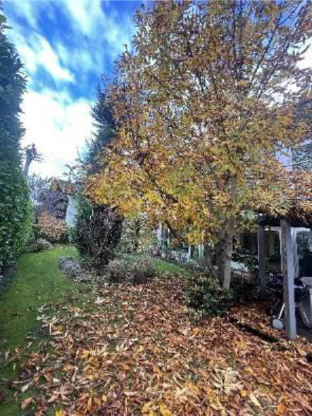 oberoesterreich 8 E 24/25m Ahornweg 1, 5311 Innerschwand am Mondsee 12