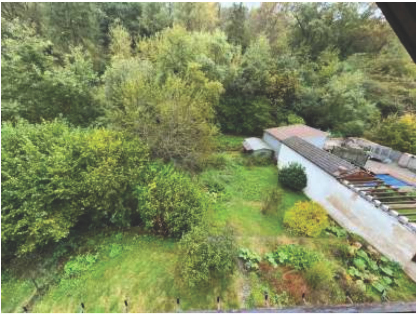 rheinland-pfalz 0001K0001/2024 Eisenkehlstraße  10, 67475 Weidenthal 31