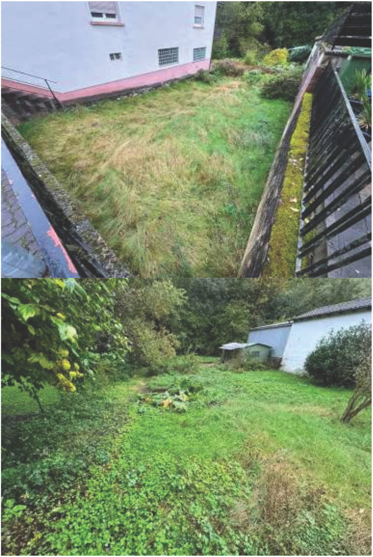 rheinland-pfalz 0001K0001/2024 Eisenkehlstraße  10, 67475 Weidenthal 33