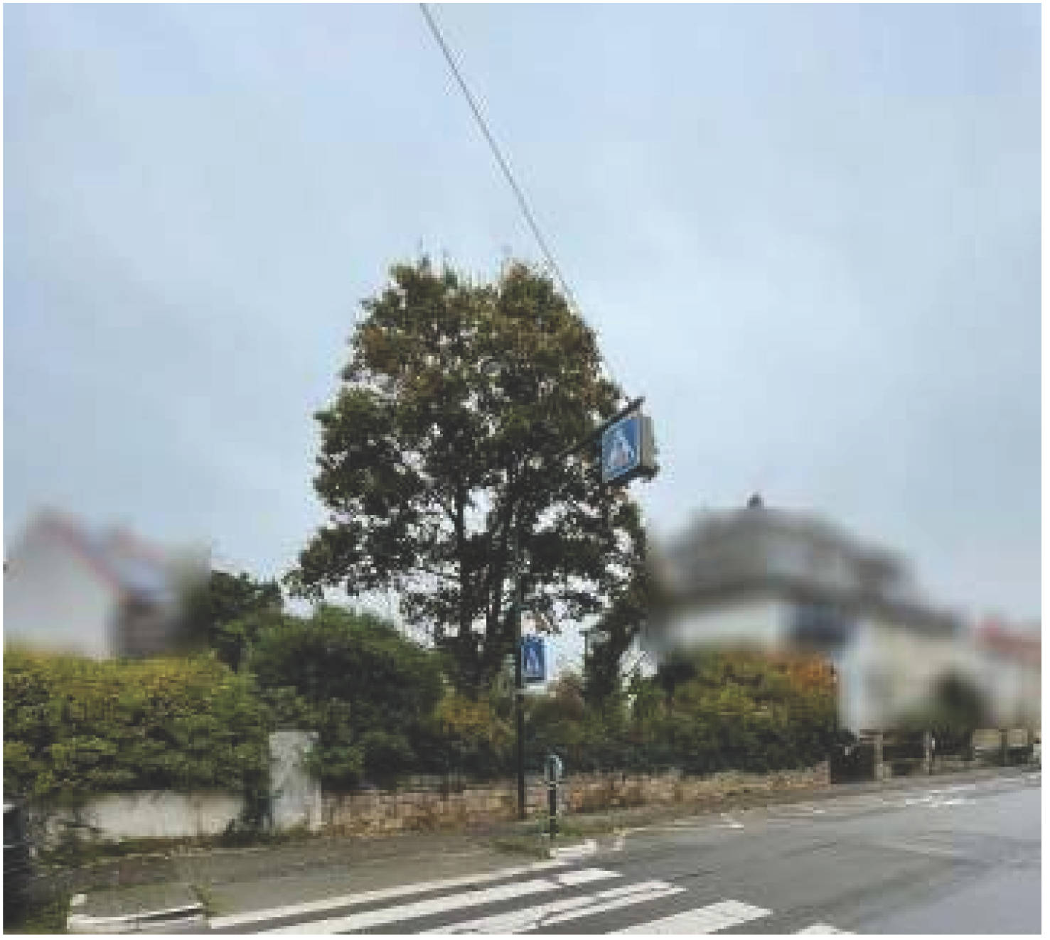 unbebautes Grundstück in Friedelsheimer Straße 23, 67098 Bad Dürkheim