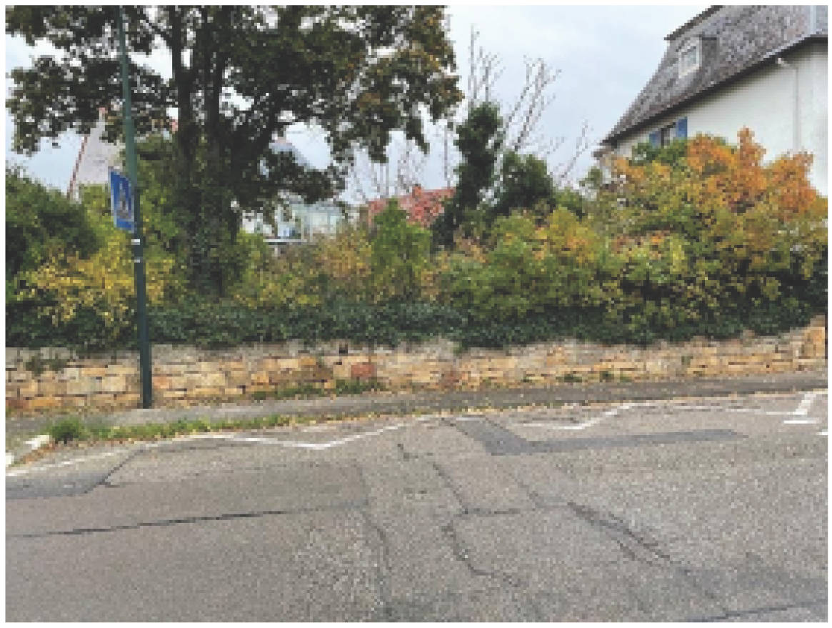 unbebautes Grundstück in Friedelsheimer Straße 23, 67098 Bad Dürkheim - Bild 3
