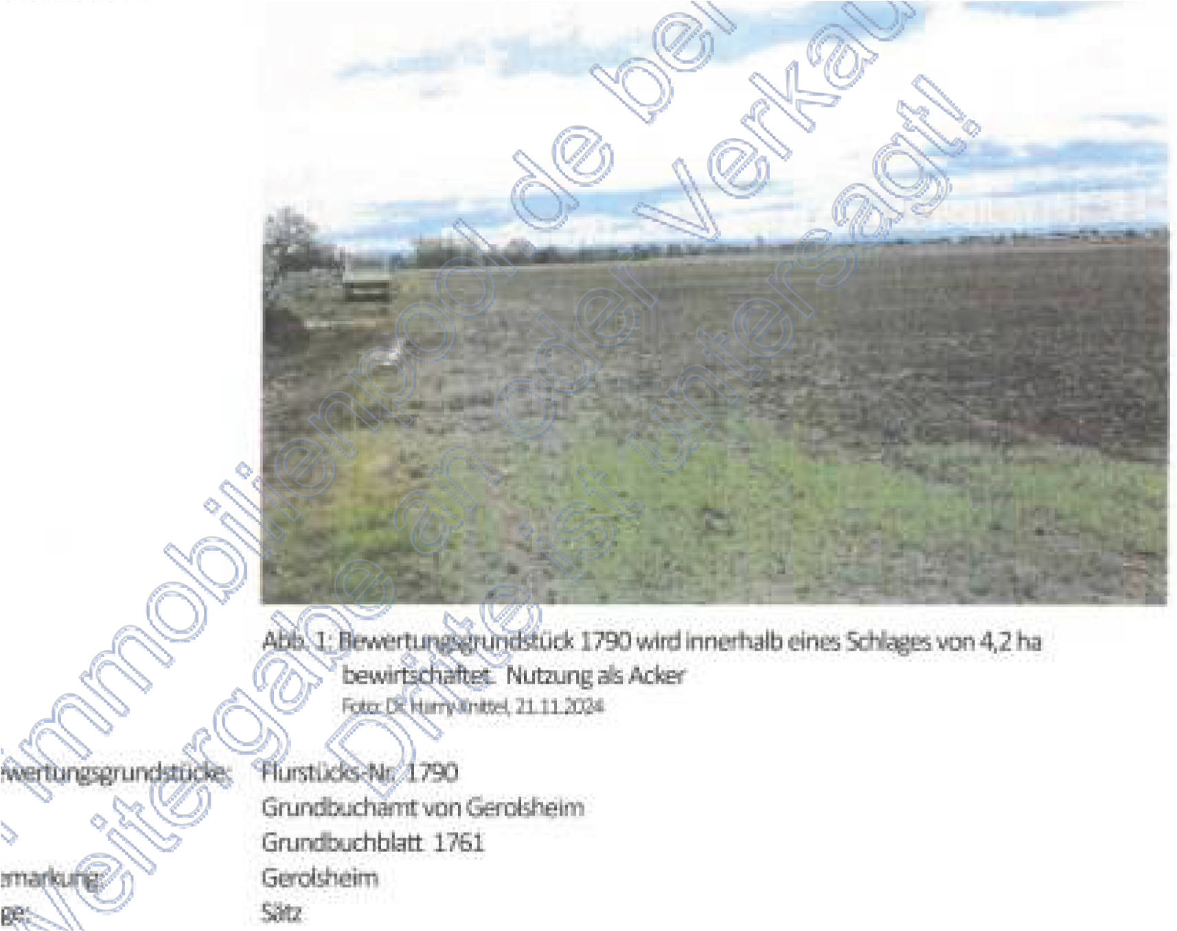 Landwirtschaftsfläche in Sätz, 67229 Gerolsheim - Bild 3