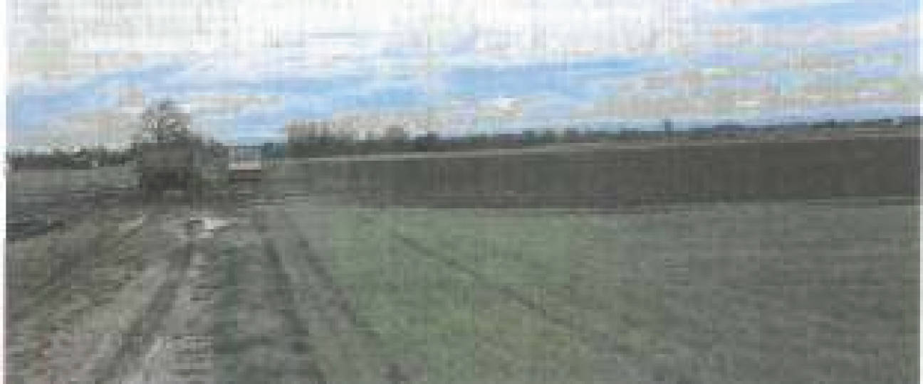 Landwirtschaftsfläche in Sätz, 67229 Gerolsheim - Bild 5