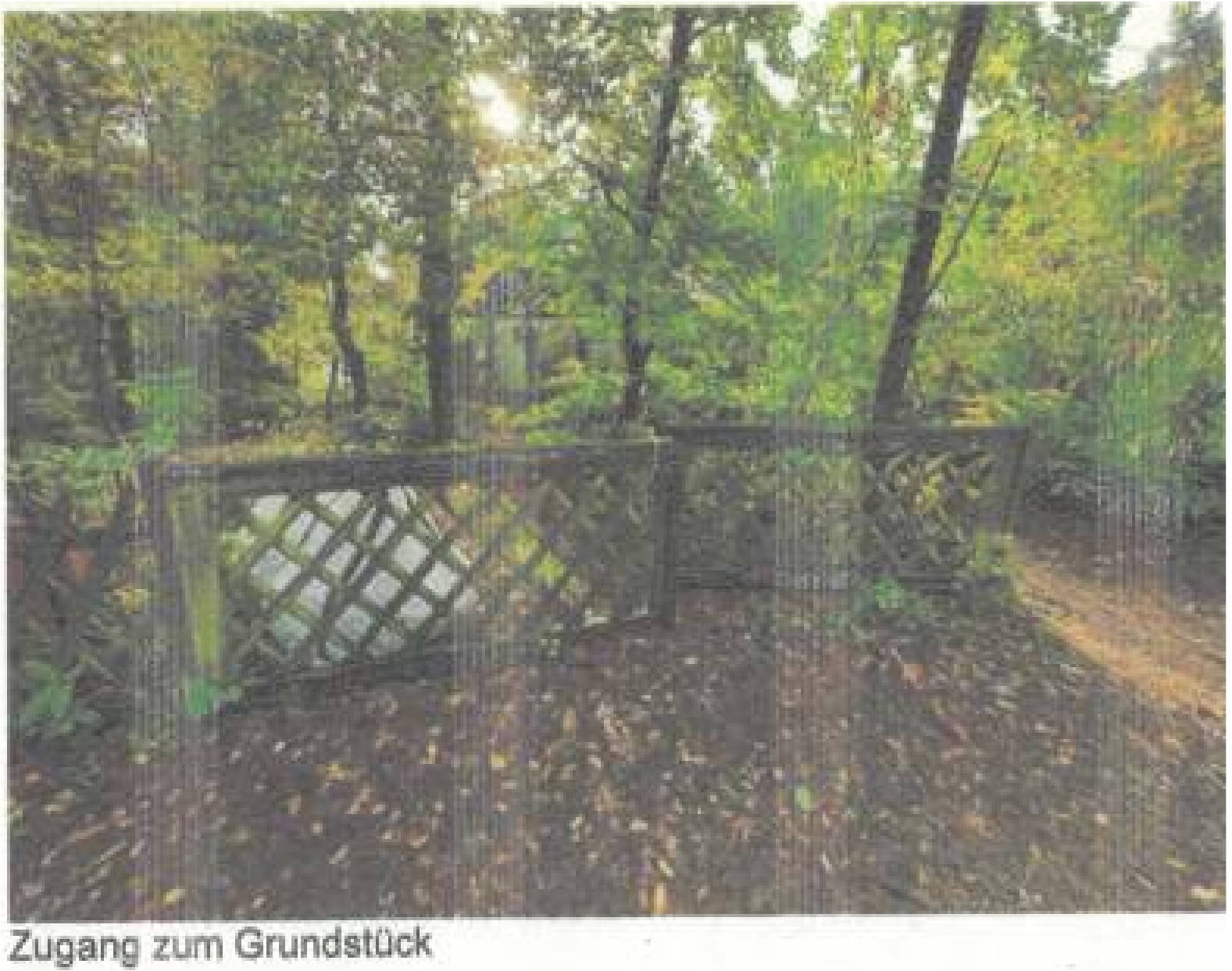 Sonstiges in Fünfguldenberg 223 A, 67098 Bad Dürkheim, Grethen - Bild 5