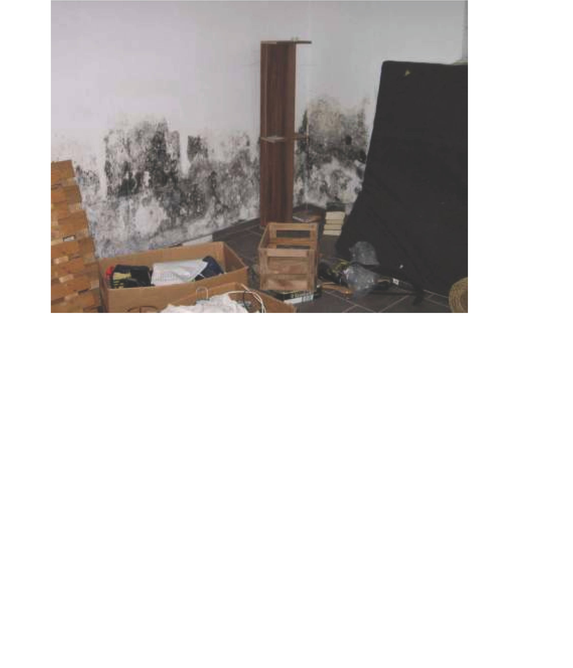 Eigentumswohnung (1 bis 2 Zimmer) in Brahmstraße  3, 67454 Haßloch - Bild 4