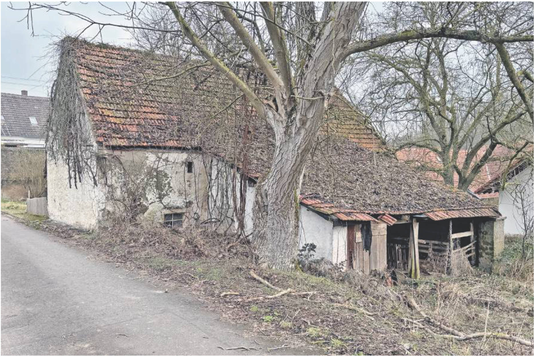 Einfamilienhaus in Friedensstraße 11, 66887 Horschbach - Bild 2