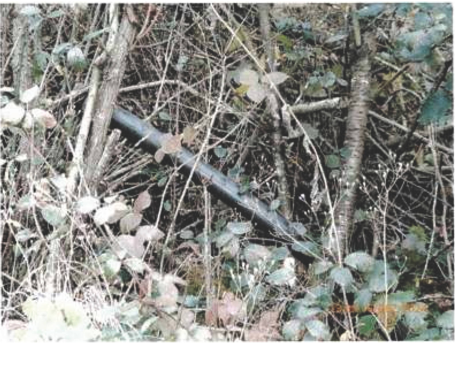 unbebautes Grundstück in Wingertsstraße 4, 66887 Horschbach - Bild 2