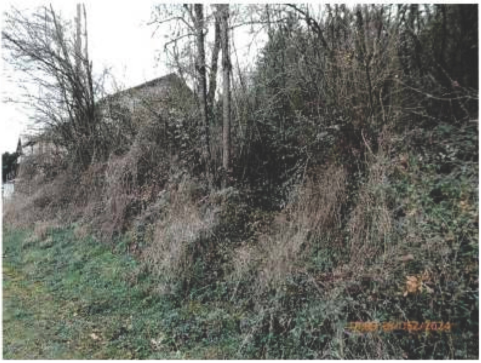 unbebautes Grundstück in Wingertsstraße 4, 66887 Horschbach