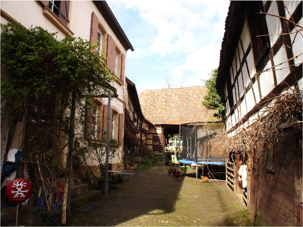 rheinland-pfalz 0001 K 0029/2022 Hauptstraße 14, 76865 Rohrbach 8