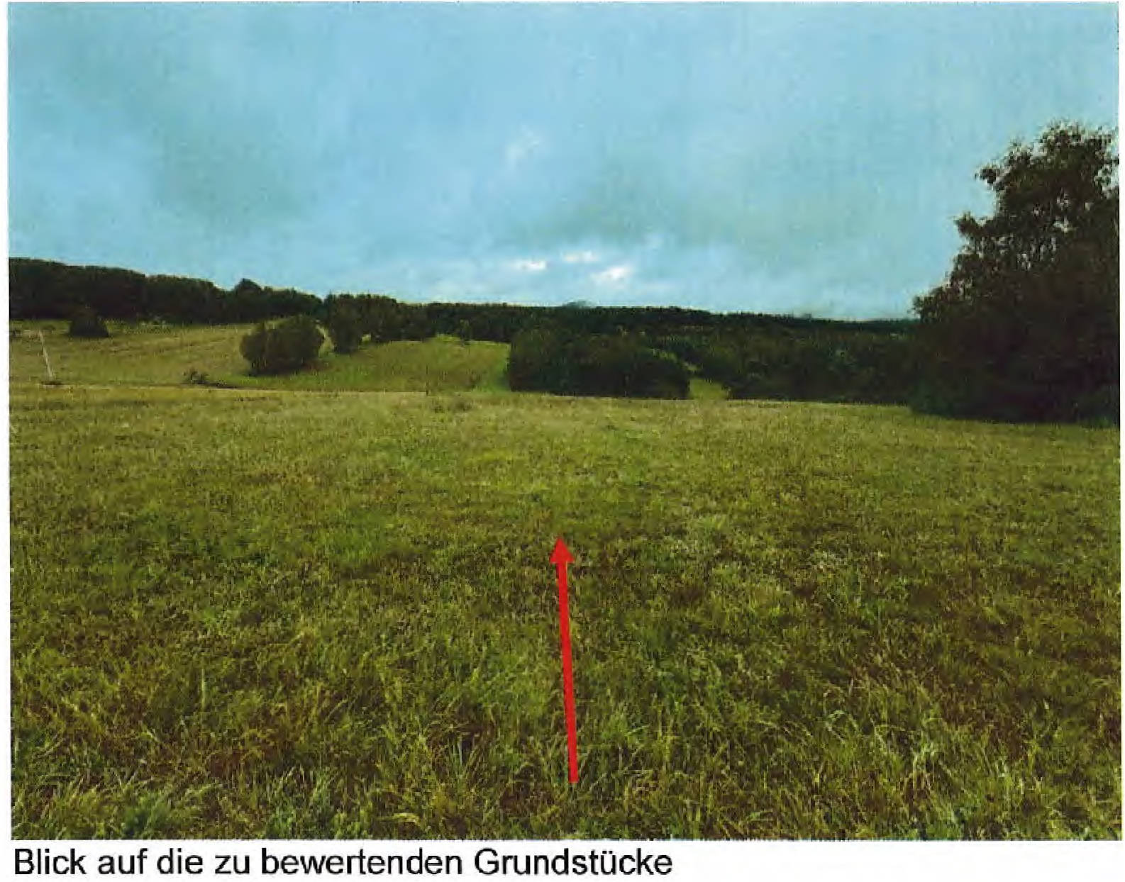 unbebautes Grundstück, land- und forstwirtschaftlich genutztes Grundstück in ., 00000 . - Bild 2