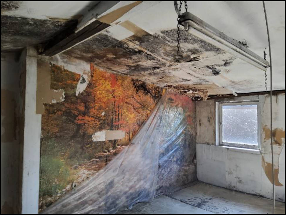 rheinland-pfalz 0001 K 0031/2024 Speiertsgasse 10, 76863 Herxheim bei Landau (Pfalz) 15