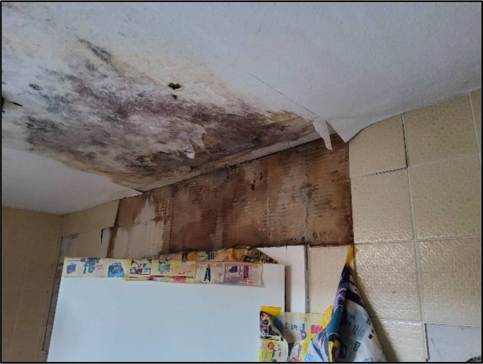 rheinland-pfalz 0001 K 0031/2024 Speiertsgasse 10, 76863 Herxheim bei Landau (Pfalz) 22