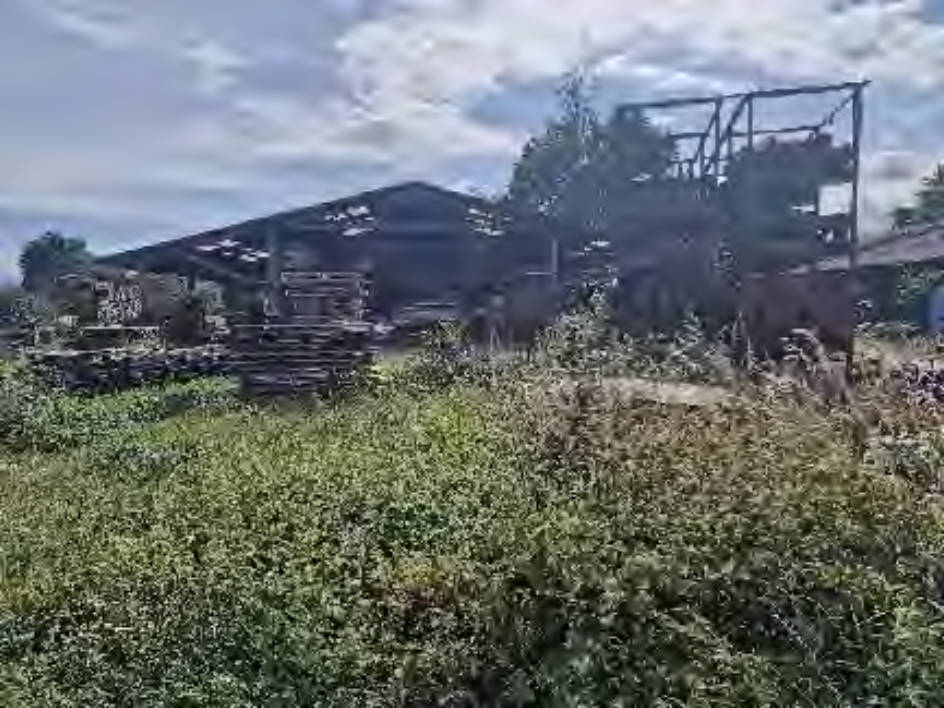 Rheinland-Pfalz 0001 K 0032/2024 - siehe amtliche Bekanntmachung -, 76744 Büchelberg 1