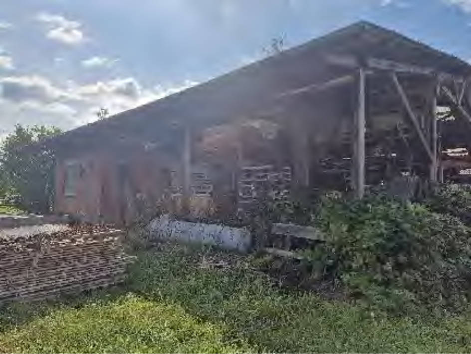 rheinland-pfalz 0001 K 0032/2024 - siehe amtliche Bekanntmachung -, 76744 Büchelberg 6