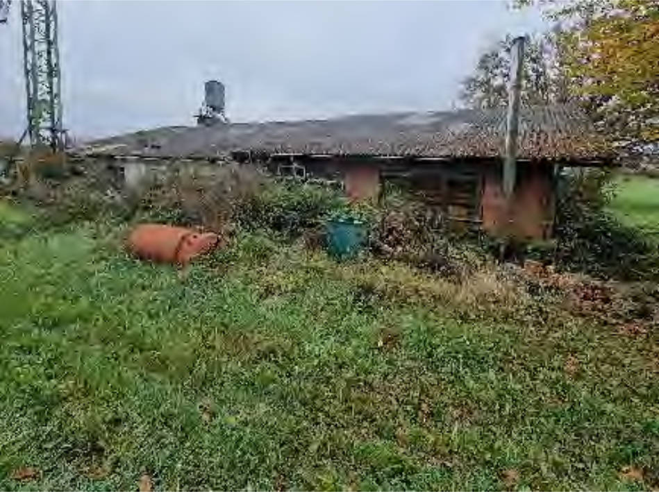- siehe amtliche Bekanntmachung- in - siehe amtliche Bekanntmachung -, 76744 Büchelberg - Bild 5
