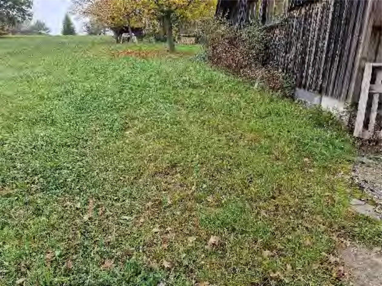 rheinland-pfalz 0001 K 0032/2024 - siehe amtliche Bekanntmachung -, 76744 Büchelberg 15