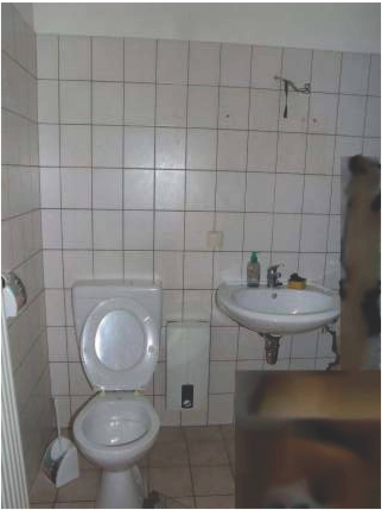 Eigentumswohnung (1 bis 2 Zimmer) in Blumenstraße 12, 00000 Pirmasens