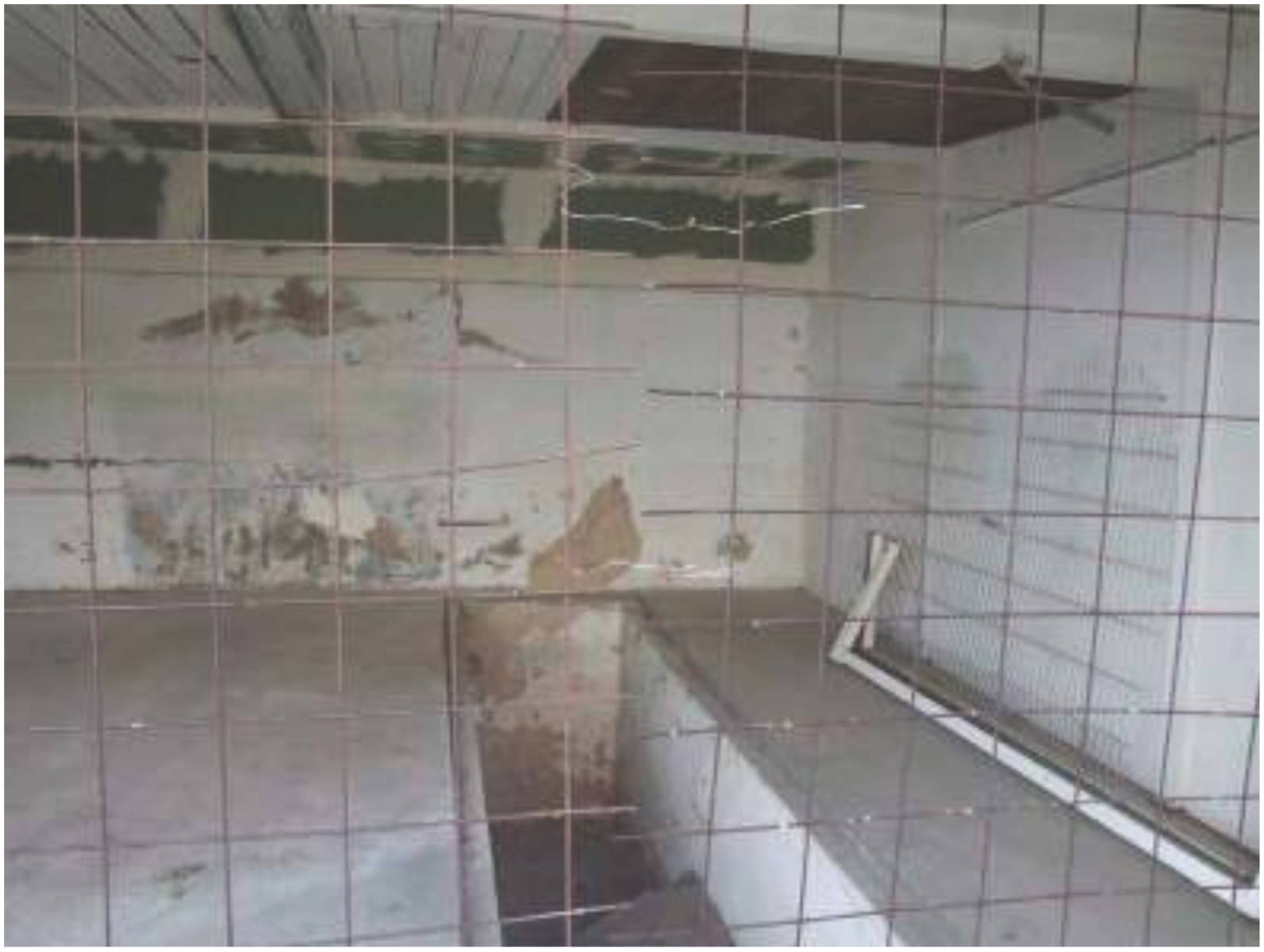Eigentumswohnung (1 bis 2 Zimmer) in Blumenstraße 12, 00000 Pirmasens - Bild 3