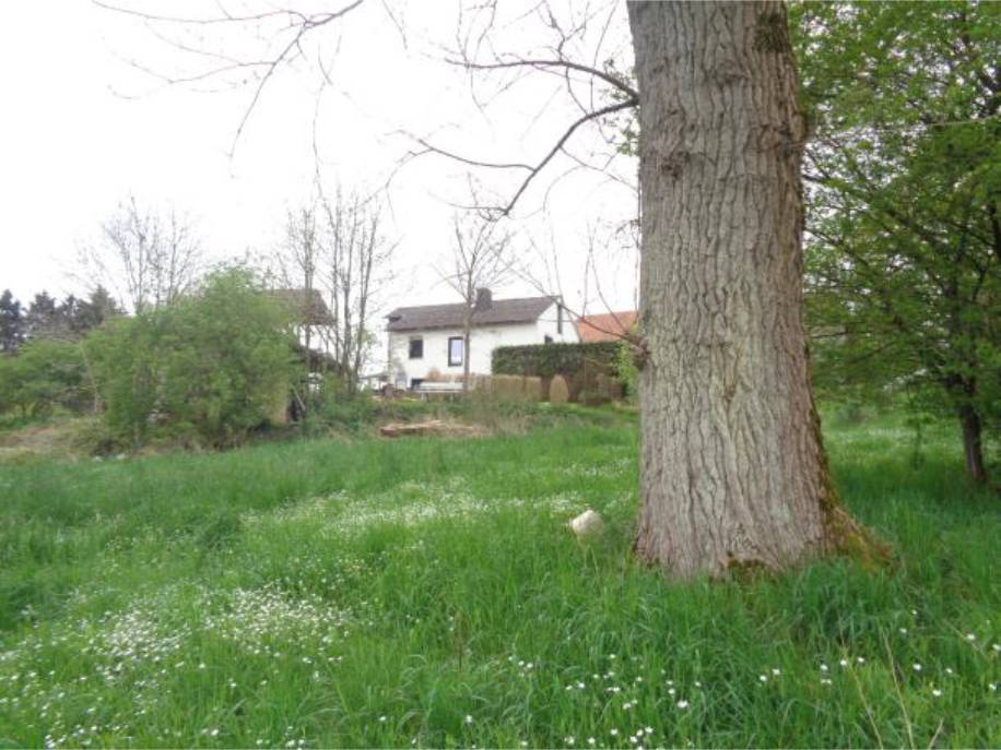 rheinland-pfalz 0001KK0025-2023 Kaffroth  4, 57612  Rott