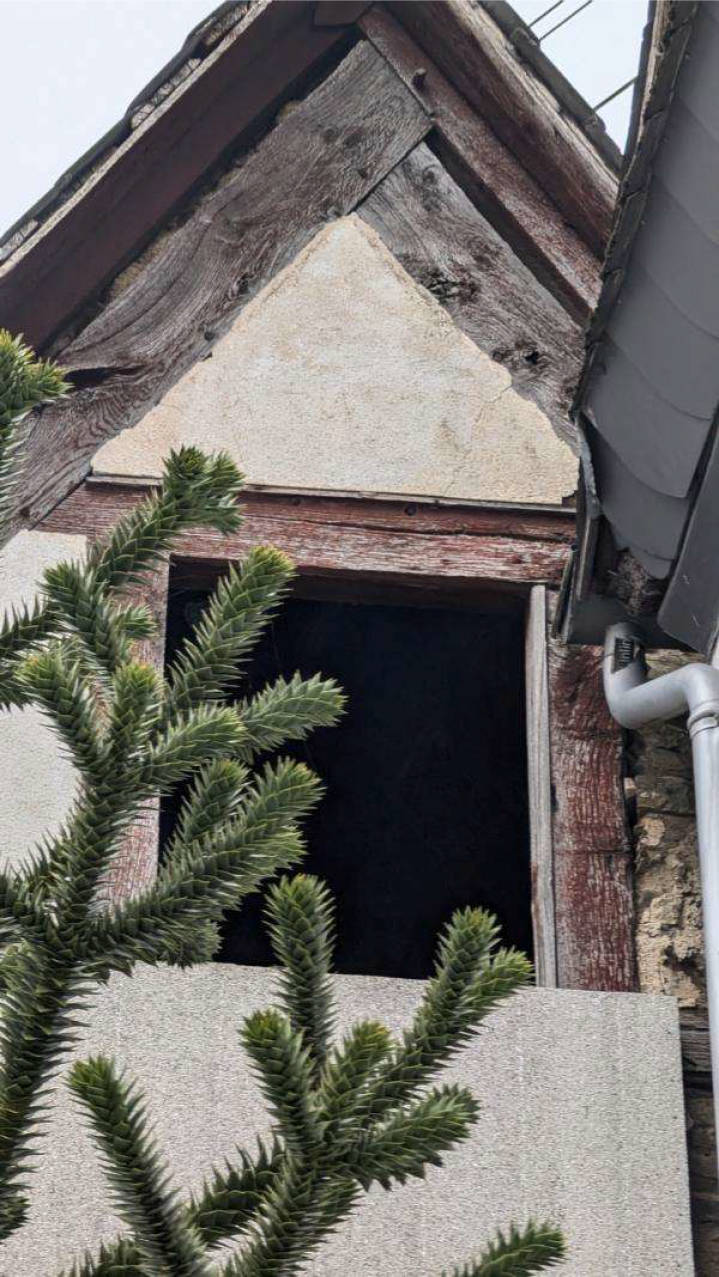 rheinland-pfalz 0002K0010/2024 Monrealer Straße 8, 56727 Mayen, Berresheim 11