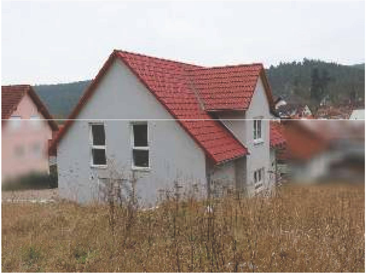 Einfamilienhaus, Gebäude- und Freifläche/Am Klosterberg 20, 67317 Altleiningen in Am Klosterberg 20, 67317 Altleiningen