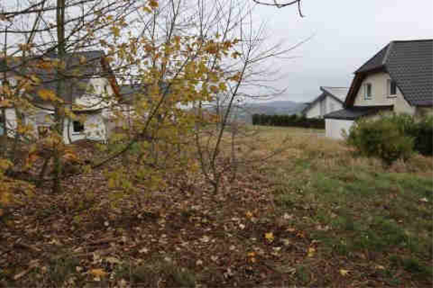 unbebautes Grundstück in Hinter Pöschen 17, 56729 Kirchwald - Bild 3