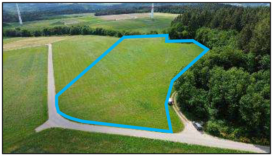 land- und forstwirtschaftlich genutztes Grundstück in Auf der Herresbach, 56729 Nachtsheim - Bild 4