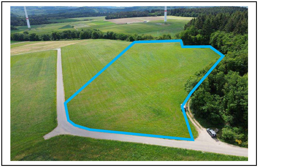 land- und forstwirtschaftlich genutztes Grundstück in Auf der Herresbach, 56729 Nachtsheim - Bild 5