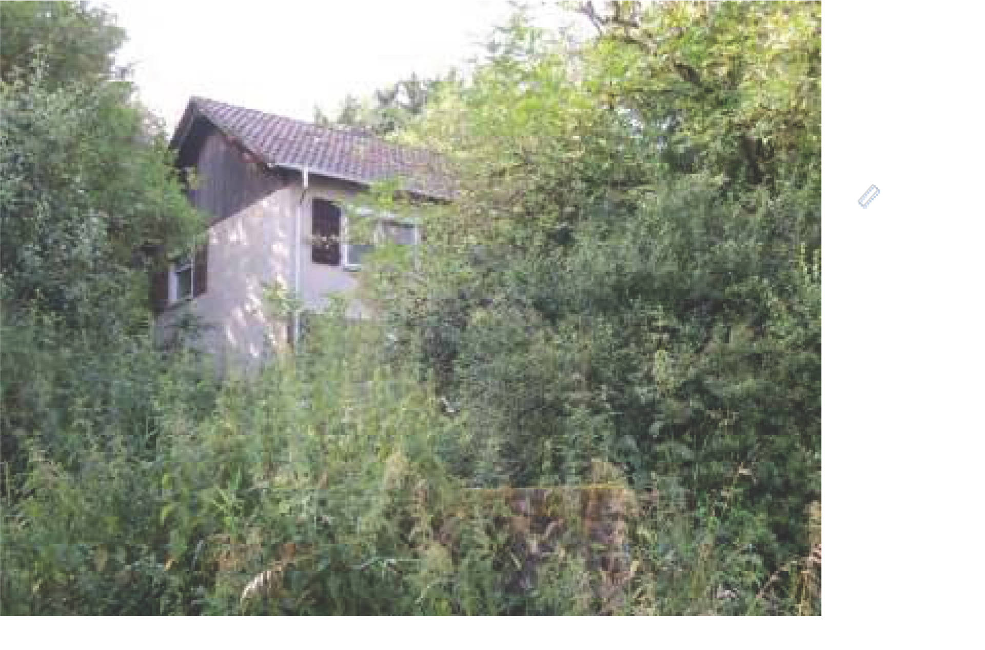 rheinland-pfalz 0002K0019/2024 Zum Bornshof 11, 67808 Falkenstein 13