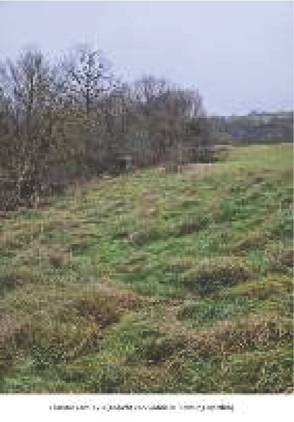 rheinland-pfalz 0002K0048-2024 Landwirtschaftsfläche im Tal, 67700 Niederkirchen, Heimkirchen