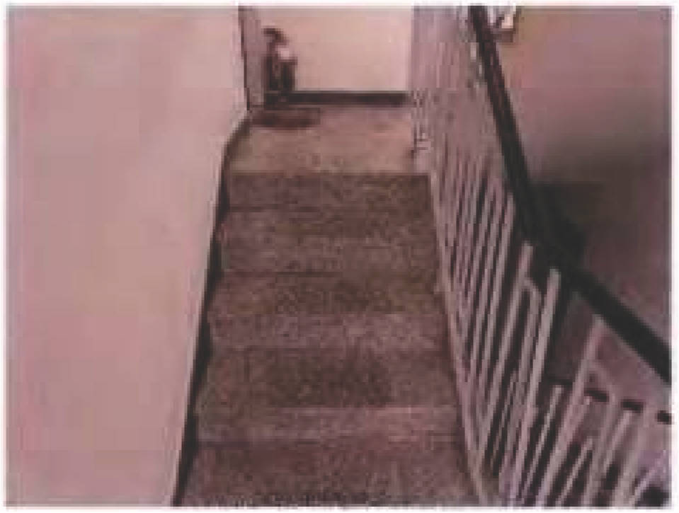 Eigentumswohnung (3 bis 4 Zimmer) in Adlerstraße 3, 5, Schillerring 10, 12, 00000 Pirmasens - Bild 3
